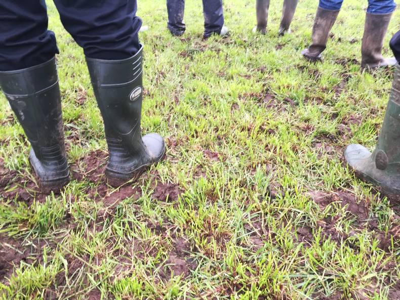 Teagasc spring grass walk: Mayo dairy farmer stretches out grass Teagasc spring grass walk: Mayo dairy farmer stretches out grass