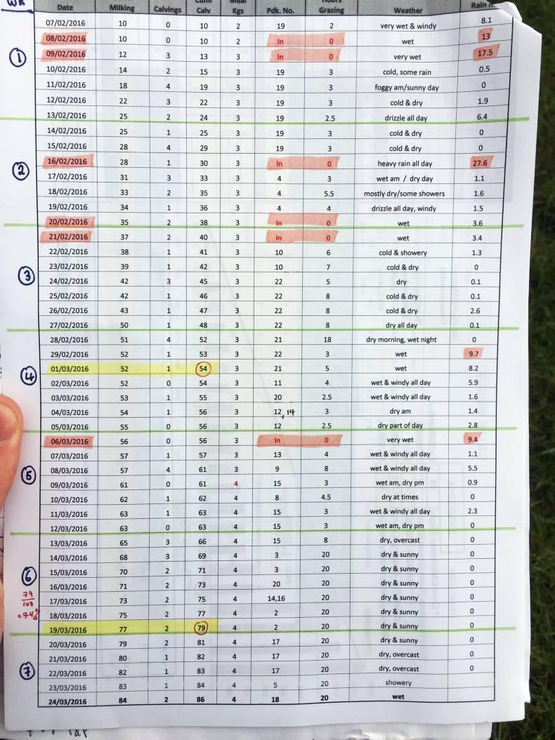 Teagasc spring grass walk: Mayo dairy farmer stretches out grass Teagasc spring grass walk: Mayo dairy farmer stretches out grass