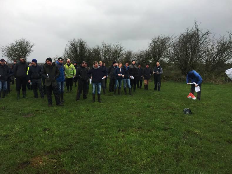 Teagasc spring grass walk: Mayo dairy farmer stretches out grass Teagasc spring grass walk: Mayo dairy farmer stretches out grass