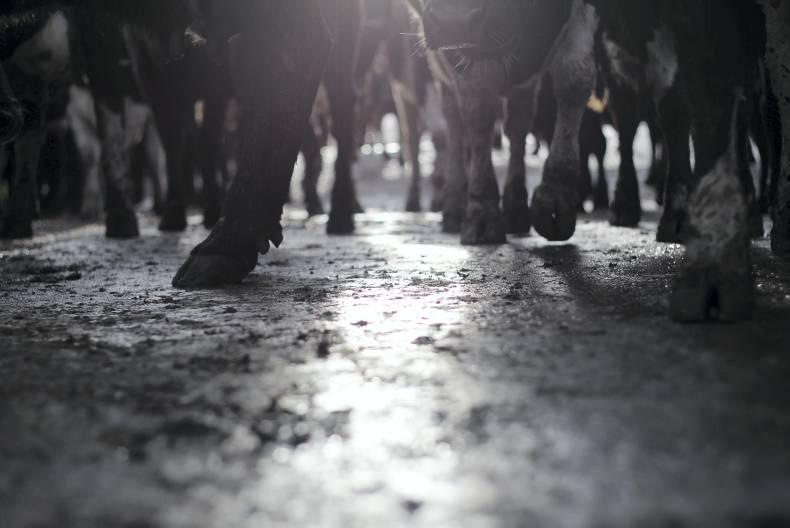 Glanbia to lose part of Tesco own brand liquid milk contract Glanbia to lose part of Tesco own brand liquid milk contract