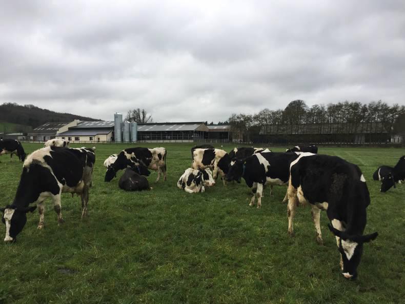 New demonstration herd gets off the ground New demonstration herd gets off the ground