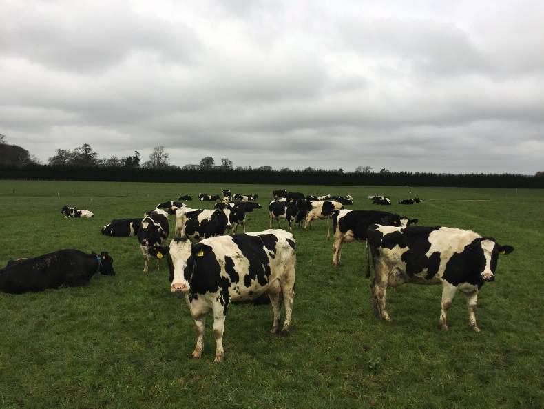 New demonstration herd gets off the ground New demonstration herd gets off the ground