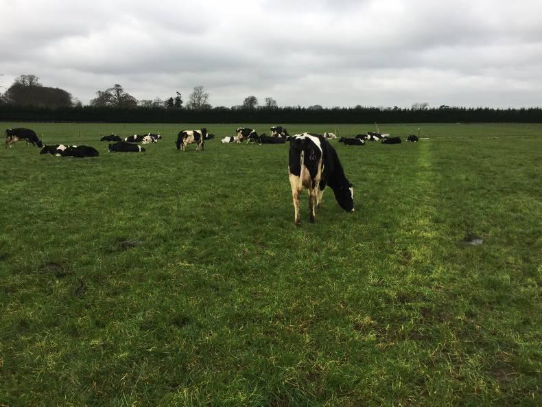 New demonstration herd gets off the ground New demonstration herd gets off the ground