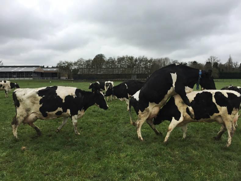 New demonstration herd gets off the ground New demonstration herd gets off the ground