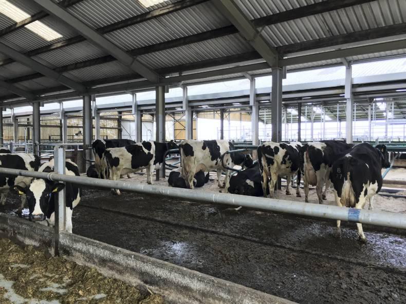 New demonstration herd gets off the ground New demonstration herd gets off the ground