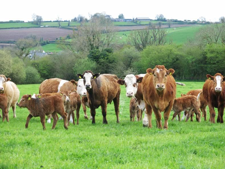 Reap the rewards of improved breeding