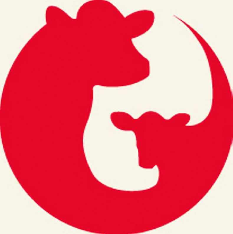 BVD – are you vaccinating correctly? BVD – are you vaccinating correctly?