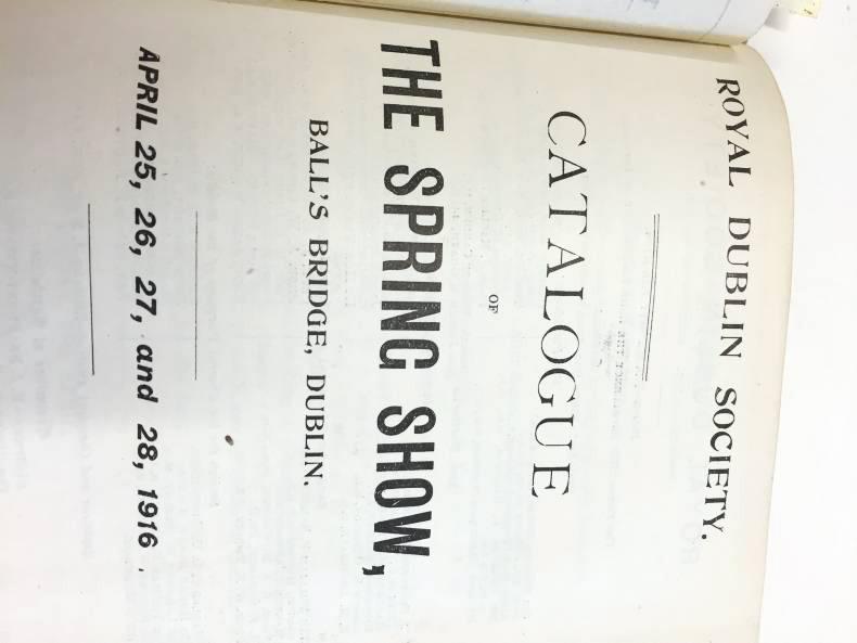 Spring Show In The Rds RDS Spring Show 1916 – the day after the rebellion - Premium