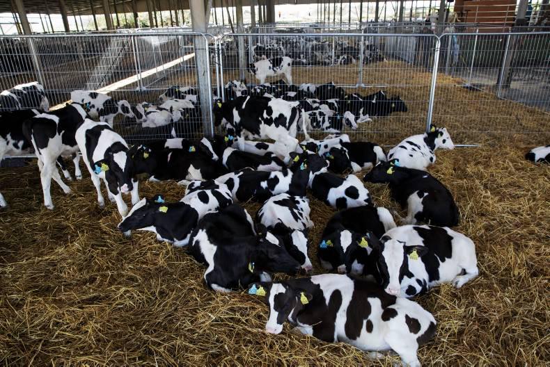 Irish Farmers Journal breakfast news: Monday 18 April 