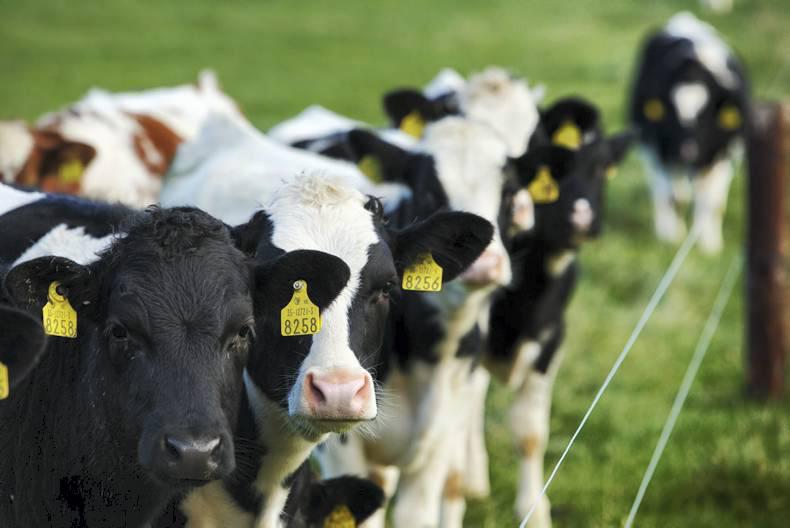 Department of Agriculture jobs go live Department of Agriculture jobs go live