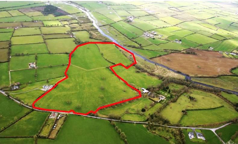 Mixed fortunes at Sherry Fitz multi-auction Mixed fortunes at Sherry Fitz multi-auction