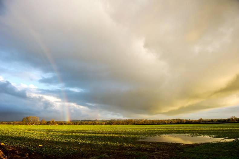50% increase in fly-tipping 50% increase in fly-tipping