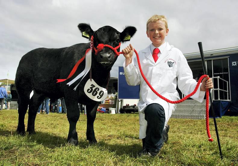 The art of showing – what do I need to know? The art of showing – what do I need to know?