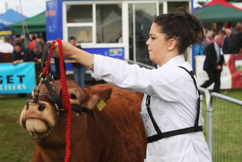 The art of showing – what do I need to know? The art of showing – what do I need to know?