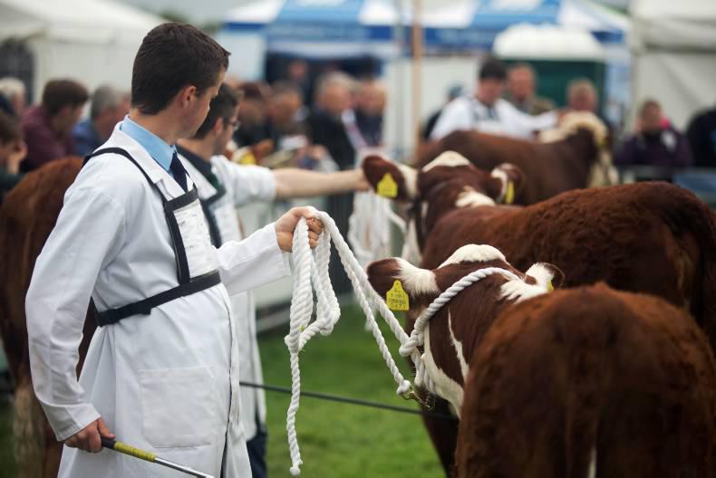 The art of showing – what do I need to know? The art of showing – what do I need to know?