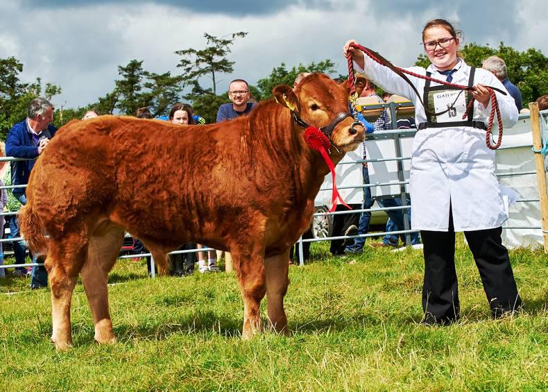 The art of showing – what do I need to know? The art of showing – what do I need to know?