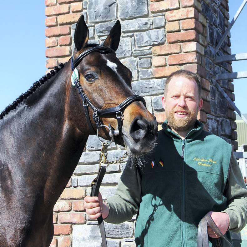 50% success rate at HSI stallion inspections 50% success rate at HSI stallion inspections