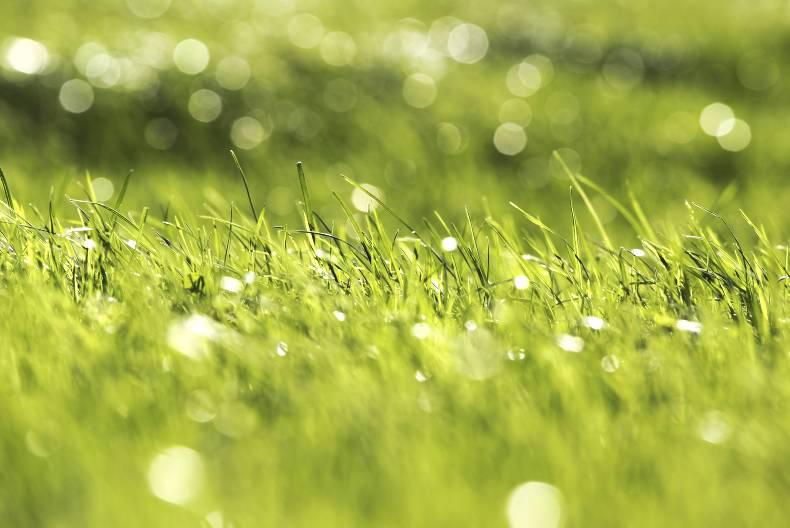 What's your May Day tradition? What's your May Day tradition?