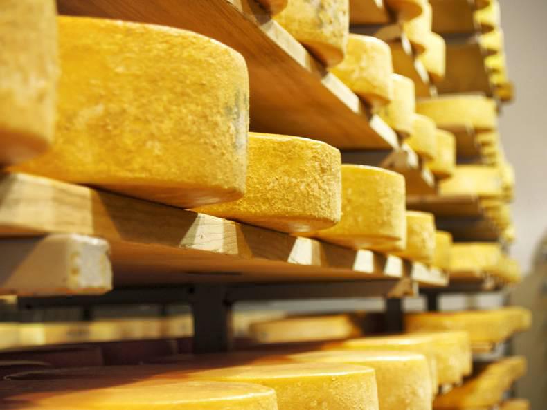 Dairy Trends: Prices continue to struggle for traction Dairy Trends: Prices continue to struggle for traction