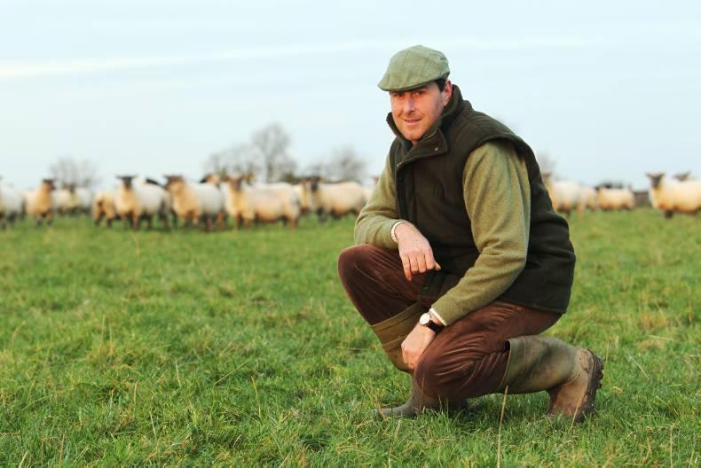 Farmer's view - what's important in sheep handling Farmer's view - what's important in sheep handling