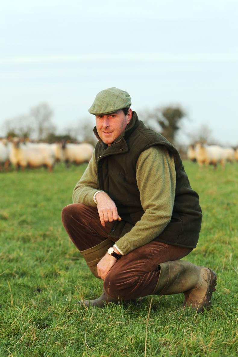 Farmer's view - what's important in sheep handling Farmer's view - what's important in sheep handling