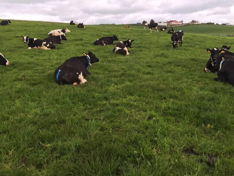 Dairy management notes for farmers Dairy management notes for farmers