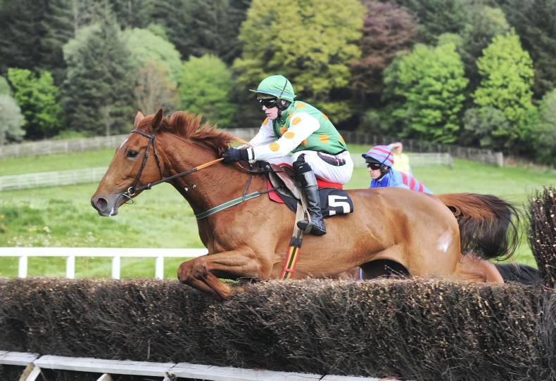 Does Bolger have the Magic for Epsom? Does Bolger have the Magic for Epsom?