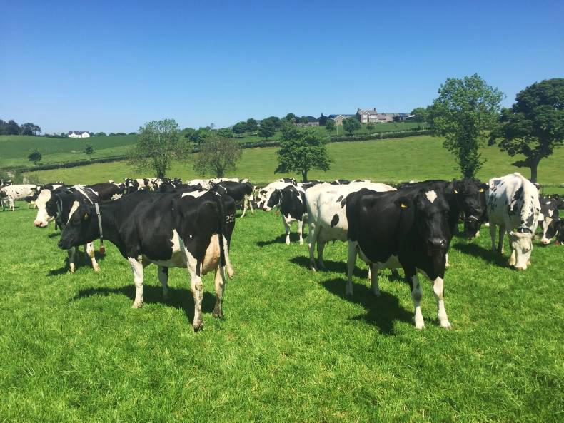 Breeding strategies for delivering profit Breeding strategies for delivering profit