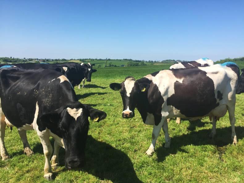 Breeding strategies for delivering profit Breeding strategies for delivering profit