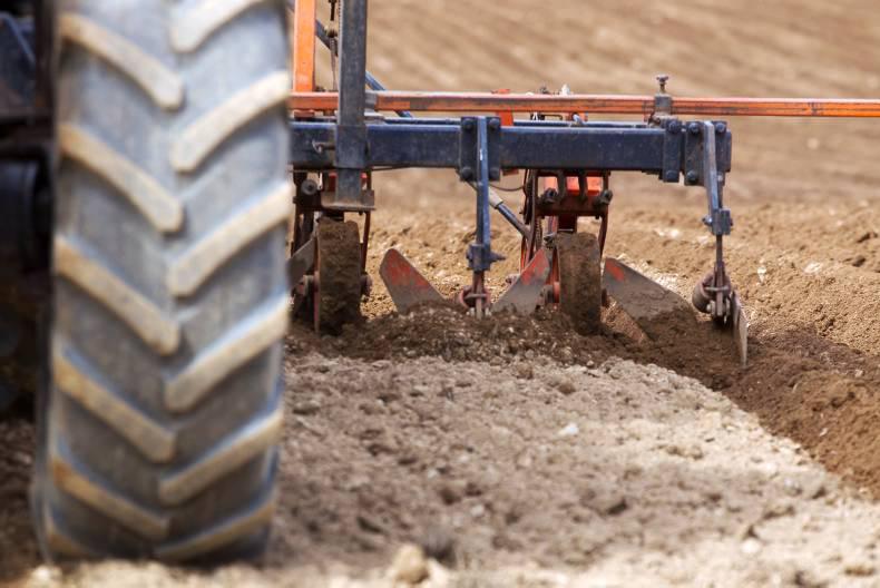 FAO sees no major changes in food prices after commodity price increases FAO sees no major changes in food prices after commodity price increases