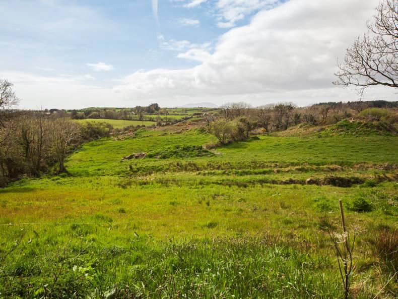 All things country in west Cork All things country in west Cork