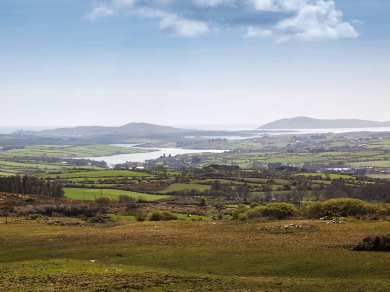 All things country in west Cork All things country in west Cork