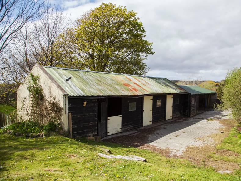 All things country in west Cork All things country in west Cork