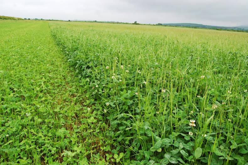 The latest agricultural jobs from Ireland and the UK The latest agricultural jobs from Ireland and the UK