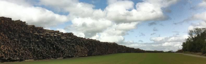 Coillte establishes biomass depot in Co Wexford Coillte establishes biomass depot in Co Wexford