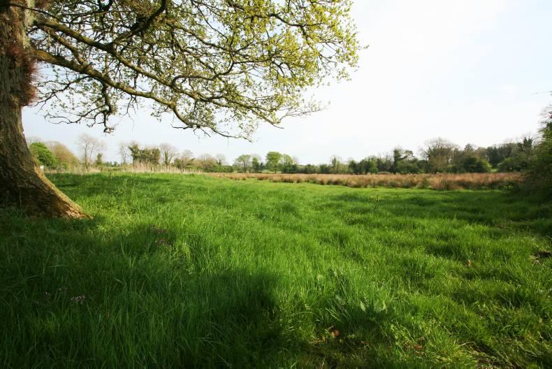 Local farmer pays €1.3m for 227 acres in Westmeath Local farmer pays €1.3m for 227 acres in Westmeath