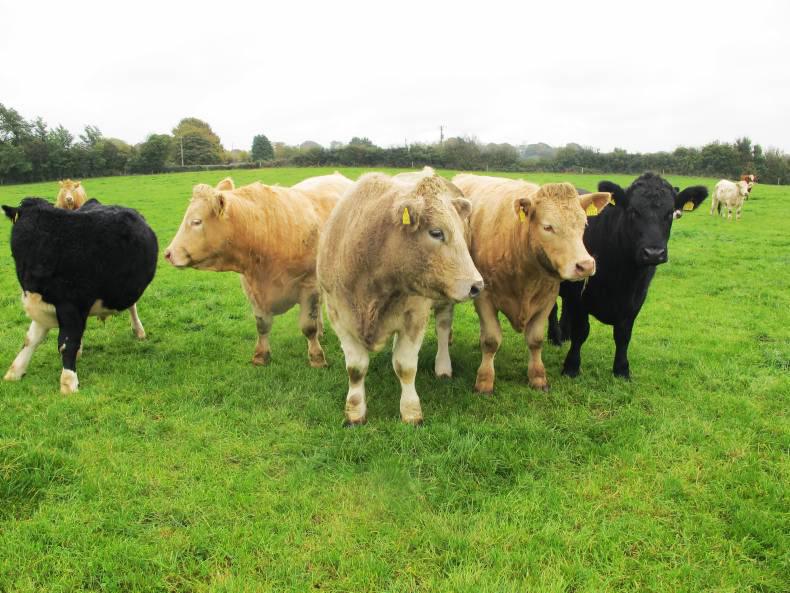 News in brief from Northern Ireland News in brief from Northern Ireland