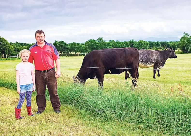 Beef Data & Genomics Programme All data for 2015 calves now due Beef Data & Genomics Programme All data for 2015 calves now due