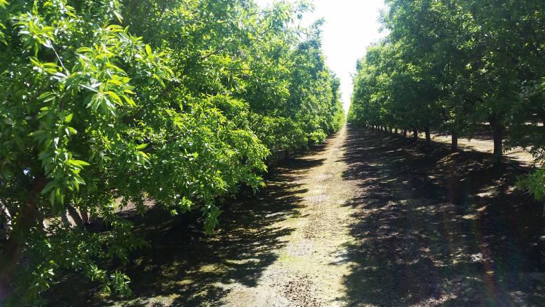 Living Life events 7-13 July Living Life events 7-13 July