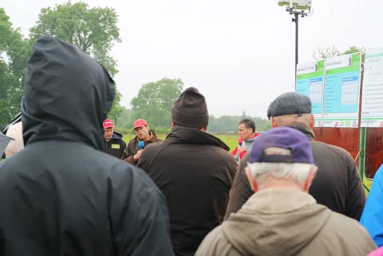 Grazed grass delivering the goods on BETTER farm in Meath Grazed grass delivering the goods on BETTER farm in Meath