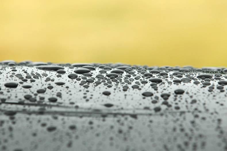 Weekly weather: a mix of dull and wet weather for the week ahead Weekly weather: a mix of dull and wet weather for the week ahead