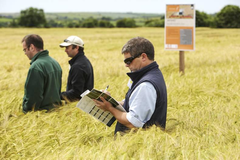 Teagasc brain drain continues
Teagasc brain drain continues
