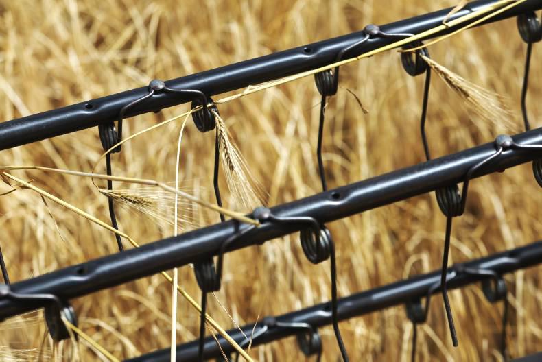 Cold and wet delays the onset of harvest Cold and wet delays the onset of harvest