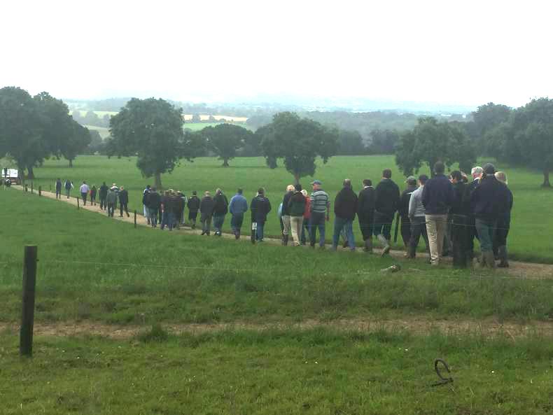 Efficiency rather than scale drives profit Efficiency rather than scale drives profit