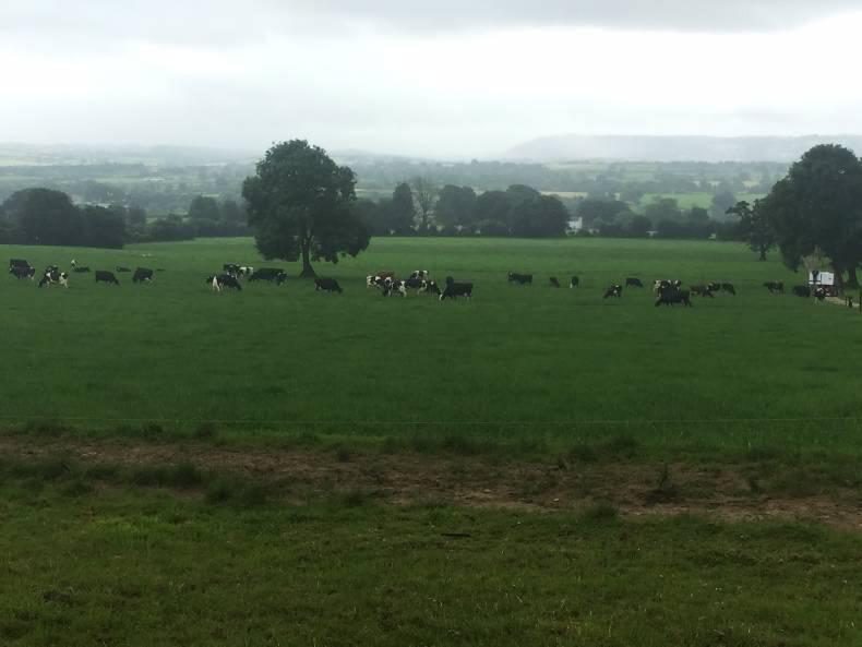 Efficiency rather than scale drives profit Efficiency rather than scale drives profit