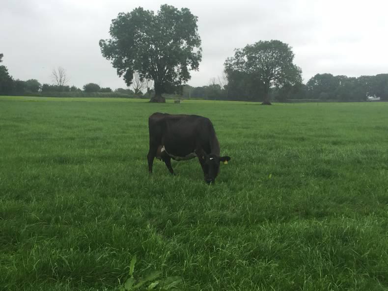 Efficiency rather than scale drives profit Efficiency rather than scale drives profit