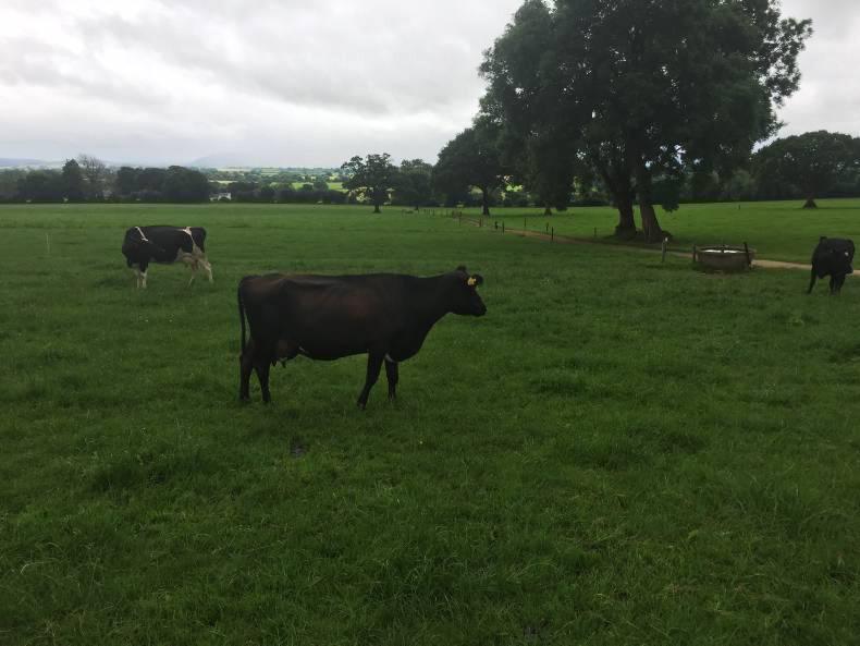 Efficiency rather than scale drives profit Efficiency rather than scale drives profit