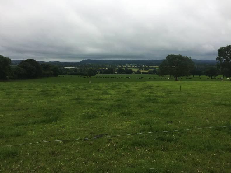 Efficiency rather than scale drives profit Efficiency rather than scale drives profit