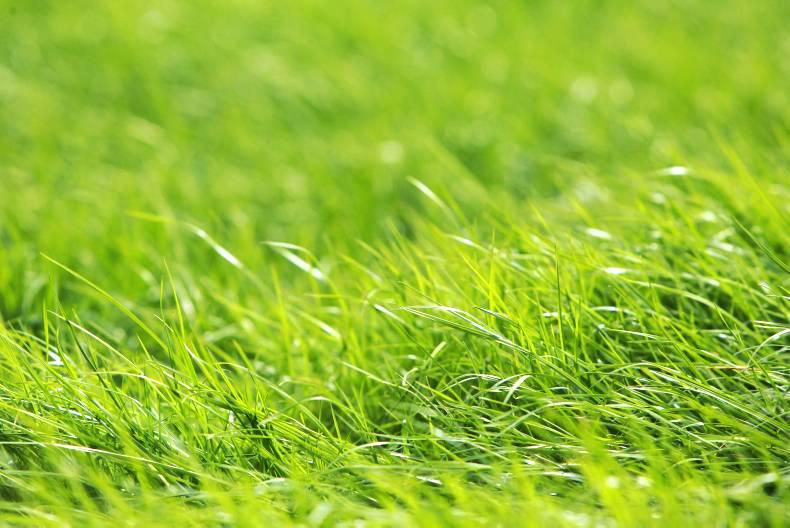 Farmer writes: Brexit fears are becoming a looming reality Farmer writes: Brexit fears are becoming a looming reality