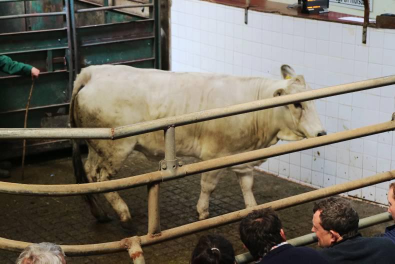 More stability in the trade at Balla mart